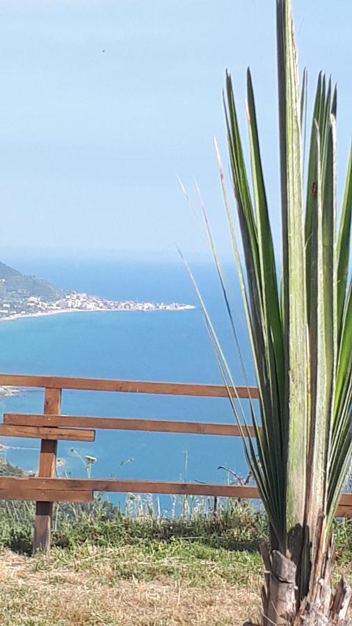 Tenuta Belvedere Cilento Montecorice Kültér fotó