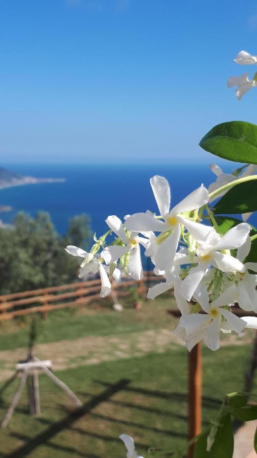 Tenuta Belvedere Cilento Montecorice Kültér fotó