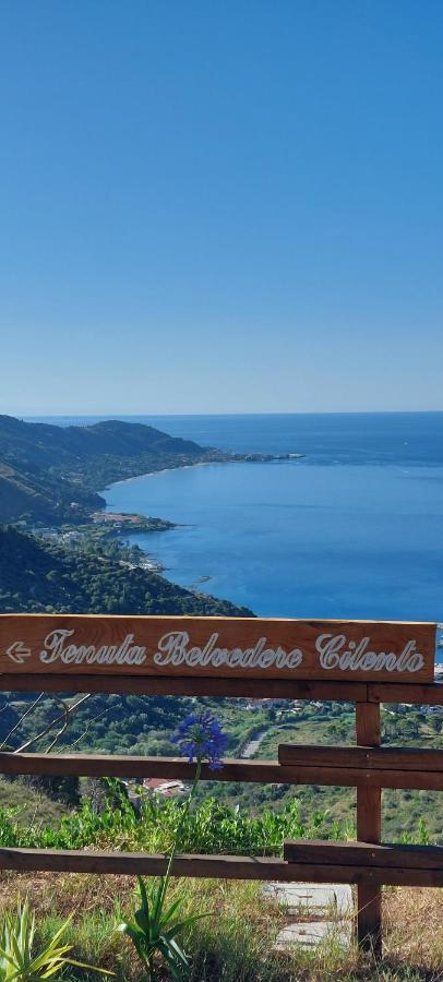 Tenuta Belvedere Cilento Montecorice Kültér fotó