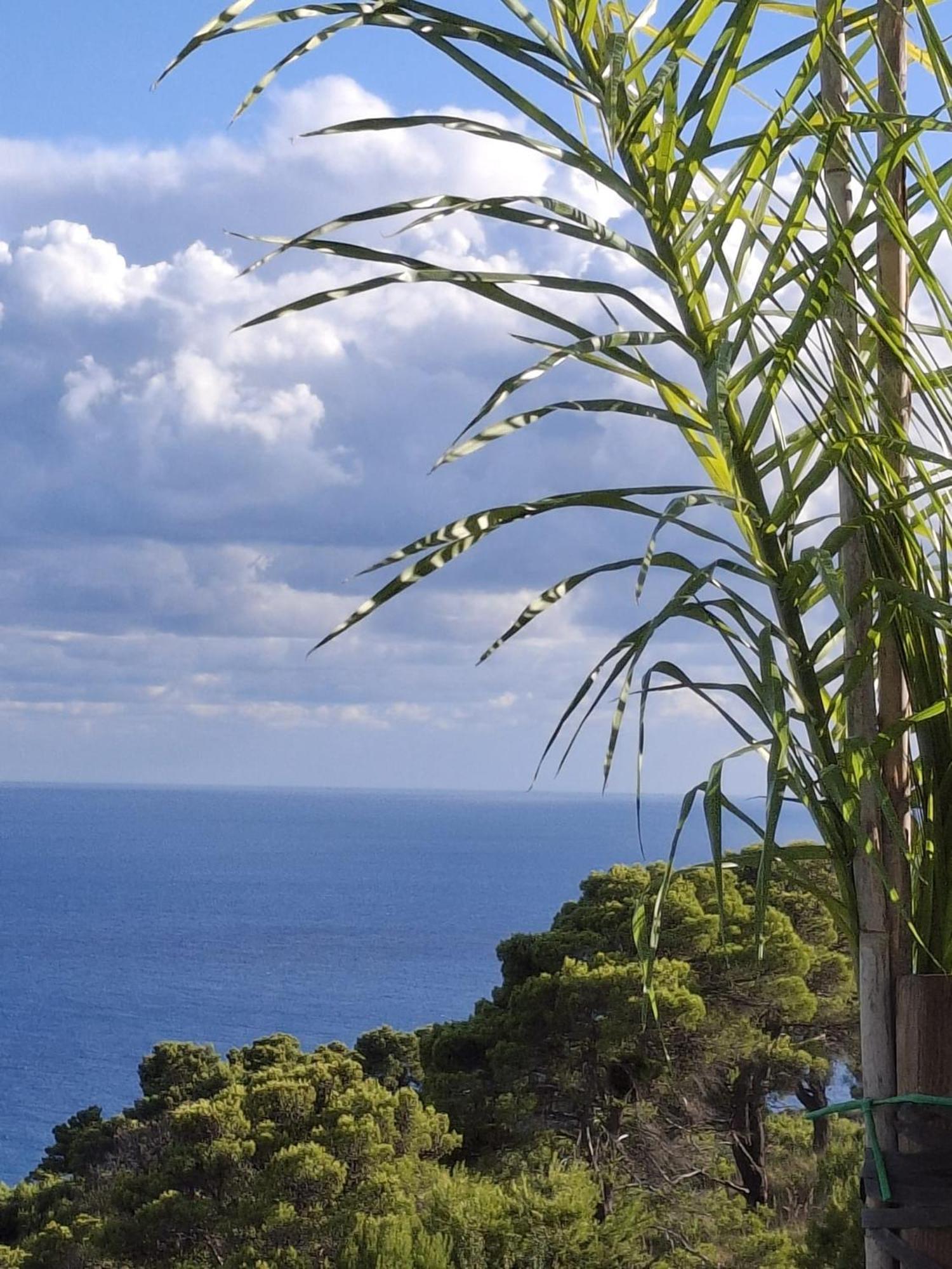 Tenuta Belvedere Cilento Montecorice Kültér fotó